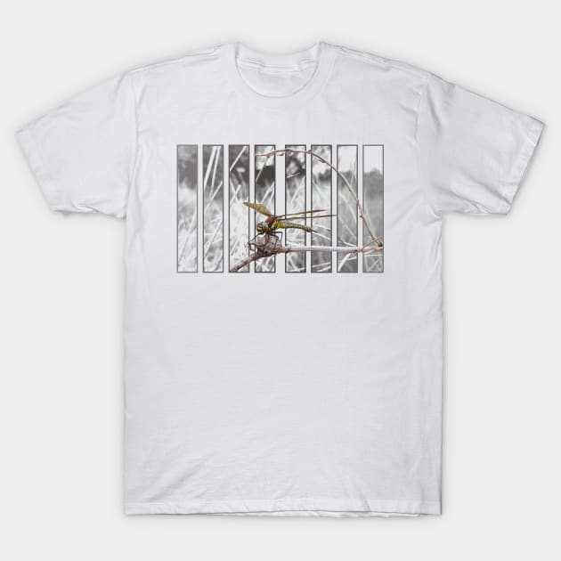 Hairy Dragonfly T-Shirt by Wilderlytees